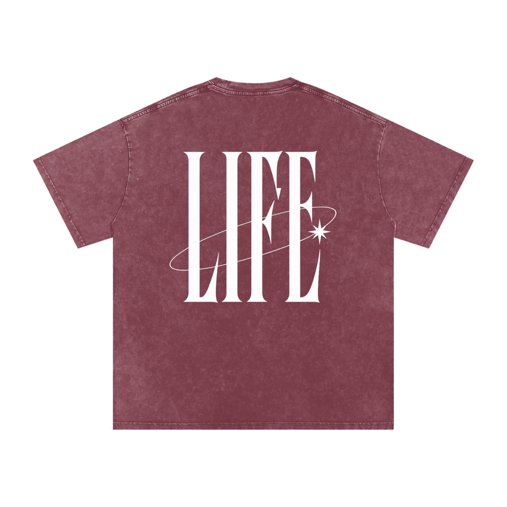 POWDER WASHED TEE — camiseta oversize lavada con logo LT y estrella, vista 18