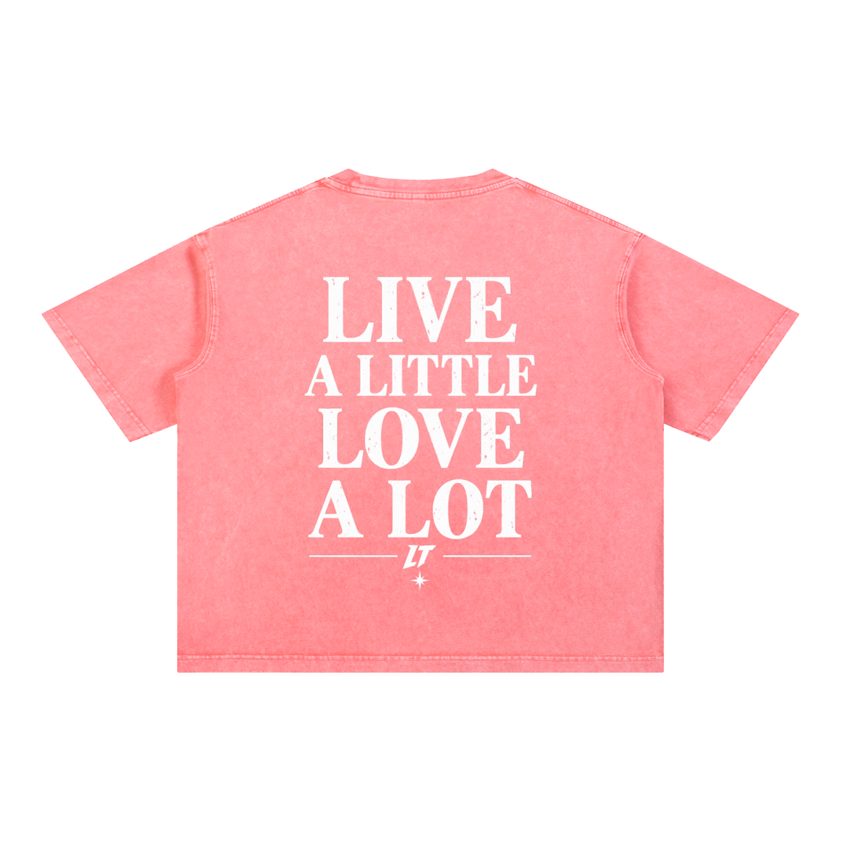 MINERAL WASH BOXY TEE — camiseta boxy con lavado mineral, LT Après Ski Club, vista 10
