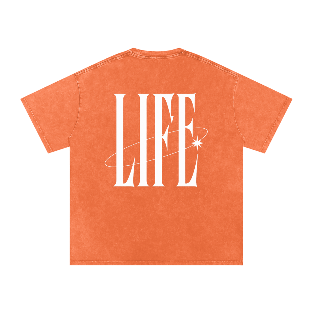 POWDER WASHED TEE — camiseta oversize lavada con logo LT y estrella, vista 14