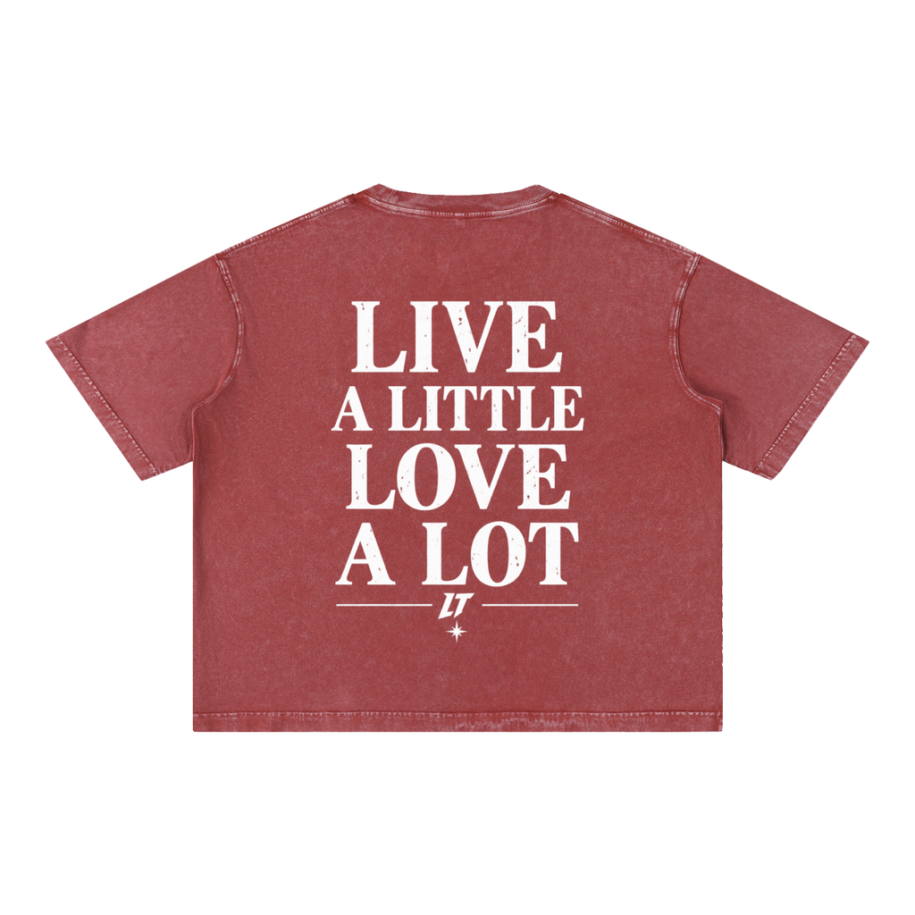 MINERAL WASH BOXY TEE — camiseta boxy con lavado mineral, LT Après Ski Club, vista 22