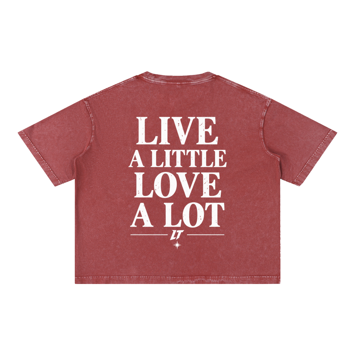 MINERAL WASH BOXY TEE — camiseta boxy con lavado mineral, LT Après Ski Club, vista 22