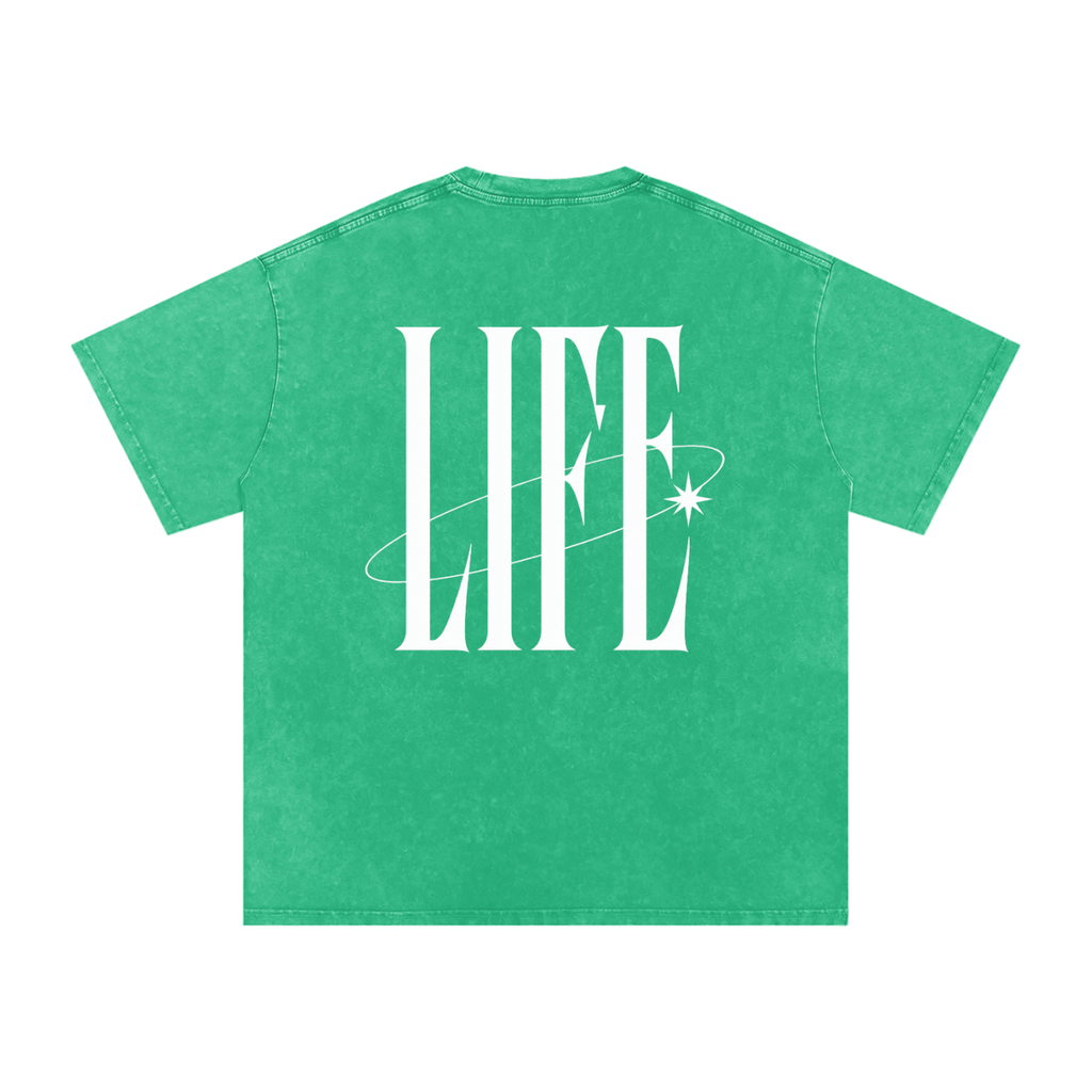 POWDER WASHED TEE — camiseta oversize lavada con logo LT y estrella, vista 40