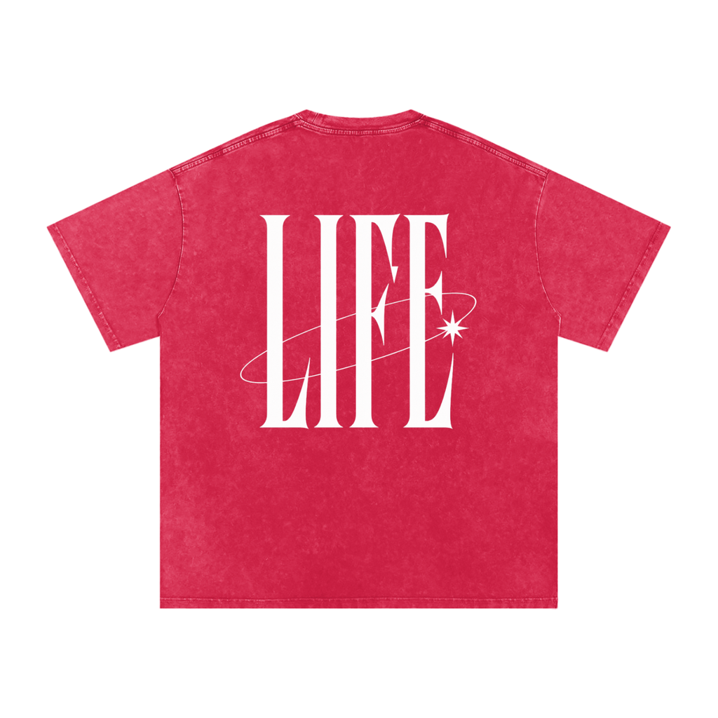 POWDER WASHED TEE — camiseta oversize lavada con logo LT y estrella, vista 44